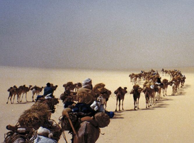 CARAVAN TO THE FUTURE